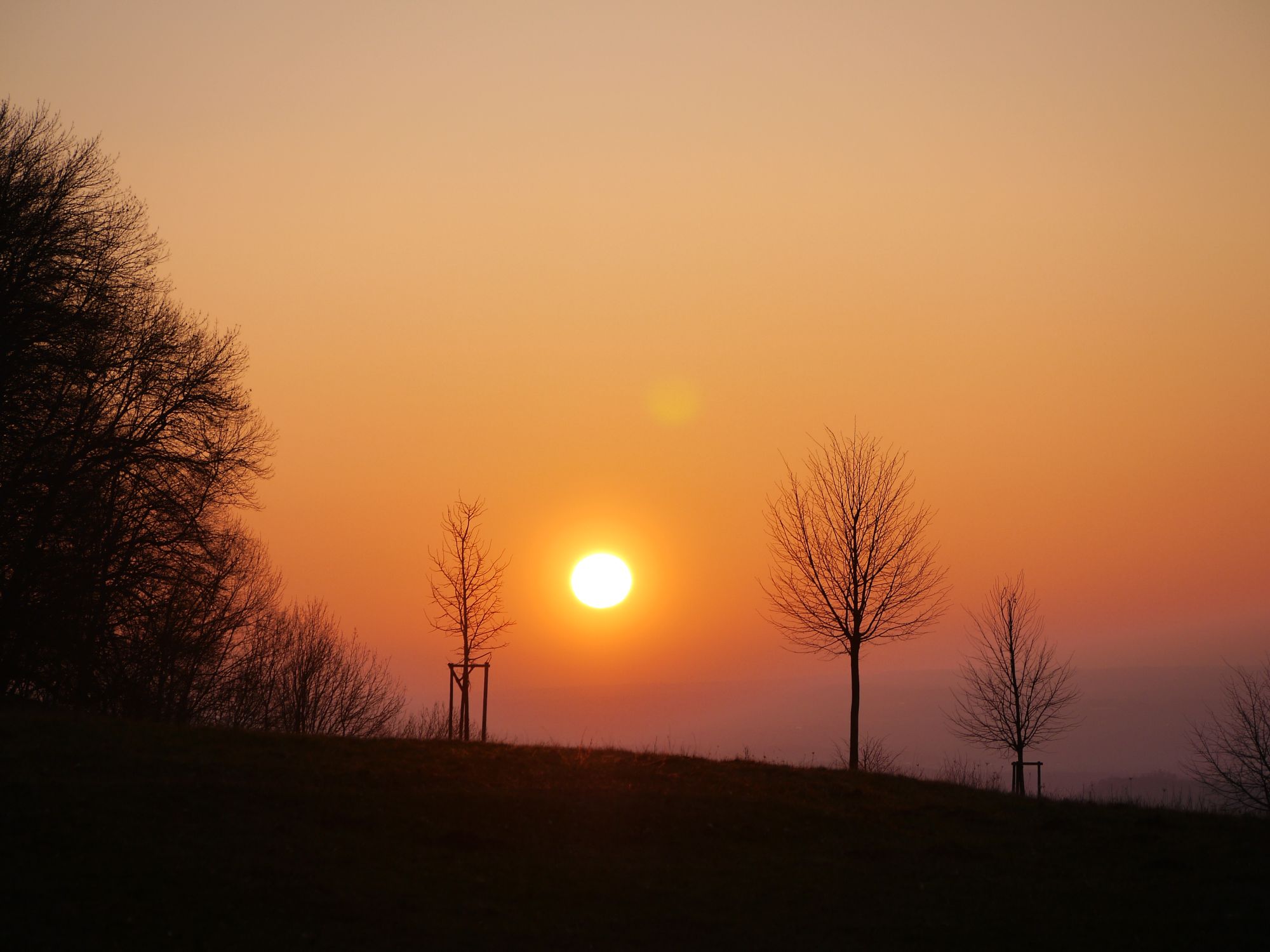 Die Sonne.jpg